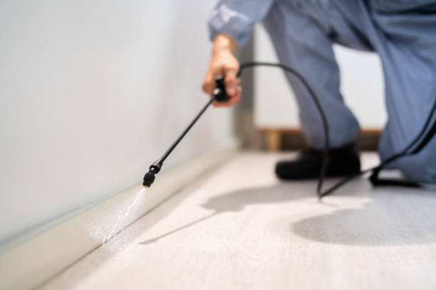 Licensed Fumigation Services service in Morris County County, NJ - Nex Pest Control